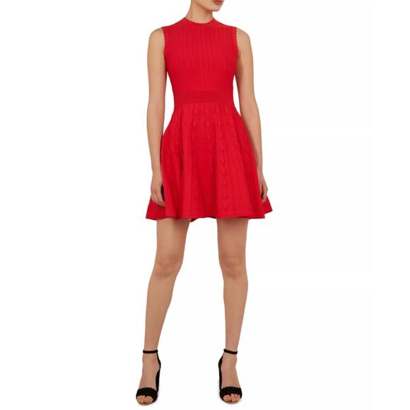 NWT Ted Baker Kamylia Knit Skater Dress UK Size 1/US Size 4 - Picture 1 of 9